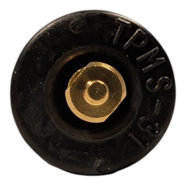 VALVOLA TPMS SNAP-IN BH SENS